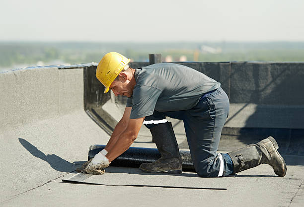 Best Insulation Contractors for Homes  in Nottingham, PA